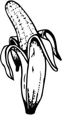 FRUIT027