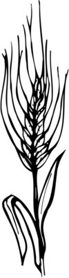 GRAIN009
