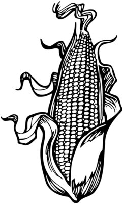 GRAIN012