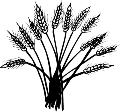 GRAIN015