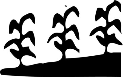 GRAIN016