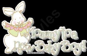 imagesCAA4P82D